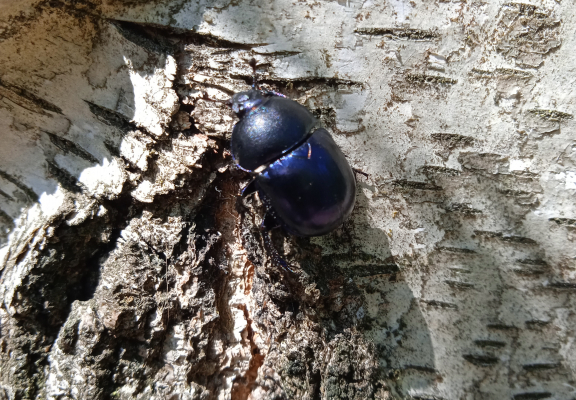 IMG_20220602_103200_1