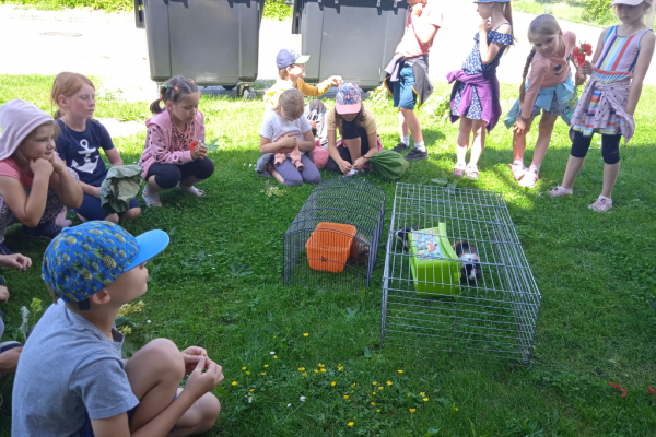 IMG_20220606_143446_1