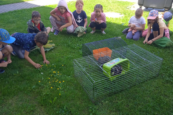 IMG_20220606_143457_1