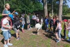 WhatsApp-Image-2025-06-29-at-11.01.26-4