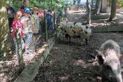 WhatsApp-Image-2025-06-29-at-11.01.26-5