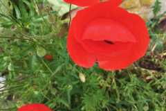 WhatsApp-Image-2025-06-29-at-11.01.28-2