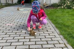WhatsApp-Image-2024-05-04-at-10.45.56-2