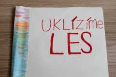 IMG-20240602-WA0020