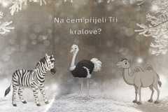 WhatsApp-Image-2025-01-30-at-17.38.21-6