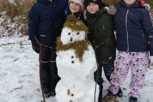 Leden u včeliček 2026