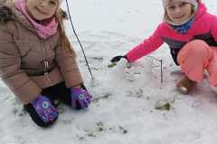 WhatsApp-Image-2026-02-01-at-15.27.27-1