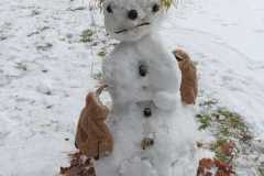 WhatsApp-Image-2026-02-01-at-15.27.28-1