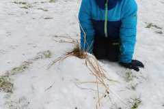 WhatsApp-Image-2026-02-01-at-15.27.28