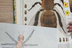 WhatsApp-Image-2026-02-01-at-15.27.35