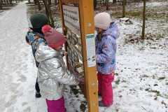 WhatsApp-Image-2026-01-30-at-16.02.45-3