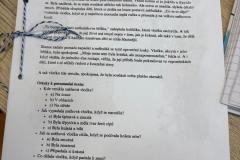 WhatsApp-Image-2026-02-01-at-12.35.35-7