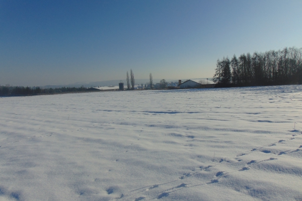 DSC00060