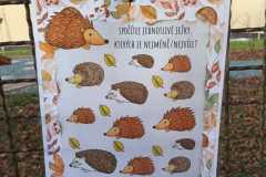 WhatsApp-Image-2025-12-05-at-15.59.19-2