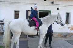 WhatsApp-Image-2025-12-05-at-16.00.48-1