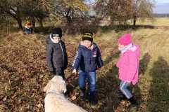 WhatsApp-Image-2025-12-08-at-22.13.20-2