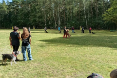 IMG_20240925_140829