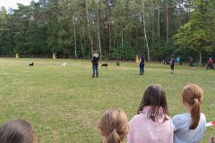 IMG_20240925_142220