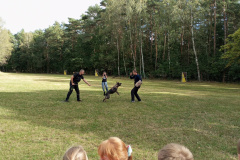 IMG_20240925_143119