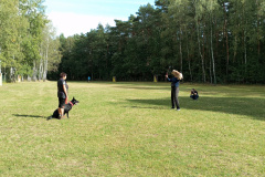 IMG_20240925_143706