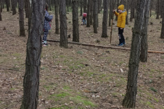 IMG_20240307_141245