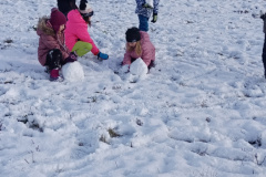 IMG_20231130_140421