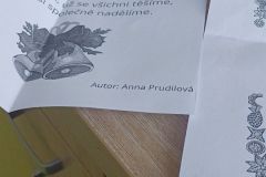 IMG_20231211_115927