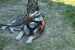 WhatsApp-Image-2025-05-16-at-10.46.29-9