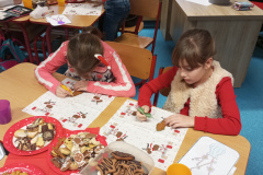 IMG_20241220_082600