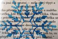 WhatsApp-Image-2025-12-31-at-13.45.10-6