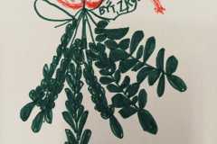 WhatsApp-Image-2025-12-31-at-13.45.11-1