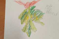 WhatsApp-Image-2025-12-31-at-13.45.12-5