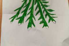 WhatsApp-Image-2025-12-31-at-13.45.13