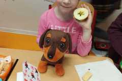 WhatsApp-Image-2025-01-04-at-13.52.53