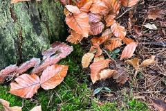 WhatsApp-Image-2026-01-03-at-10.11.58-6