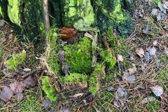 WhatsApp-Image-2026-01-03-at-10.11.58-8