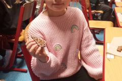 IMG_20251219_083052_1