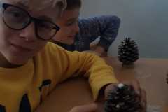 WhatsApp-Image-2025-11-04-at-19.20.07-2