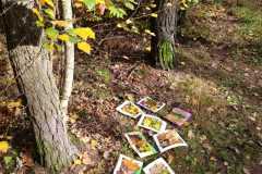 WhatsApp-Image-2025-10-31-at-18.47.59