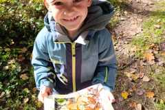 WhatsApp-Image-2025-10-31-at-18.48.01-1