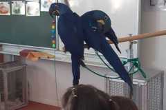 WhatsApp-Image-2026-04-25-at-13.59.31-1