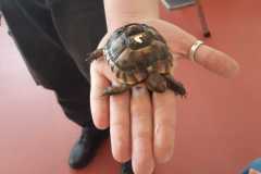 WhatsApp-Image-2026-04-25-at-13.59.39