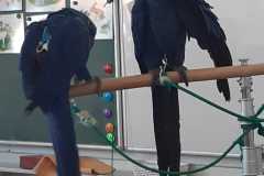 WhatsApp-Image-2026-04-25-at-13.59.41-1