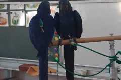 WhatsApp-Image-2026-04-25-at-13.59.41