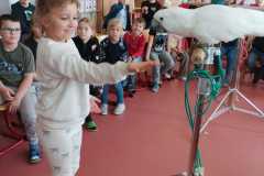 WhatsApp-Image-2026-04-25-at-14.25.36-4