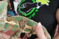 WhatsApp-Image-2026-04-25-at-14.25.36-5