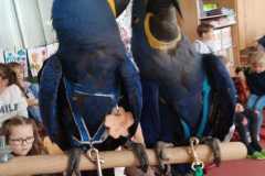 WhatsApp-Image-2026-04-25-at-14.25.37-1