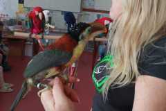 WhatsApp-Image-2026-04-25-at-14.25.37-2