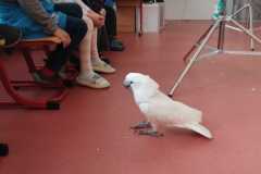 WhatsApp-Image-2026-04-25-at-14.25.37-3