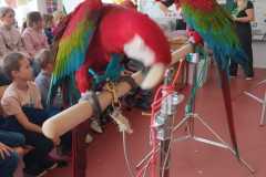 WhatsApp-Image-2026-04-25-at-14.25.37-4